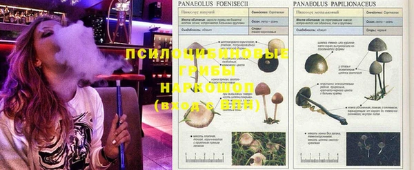 стаф Абдулино