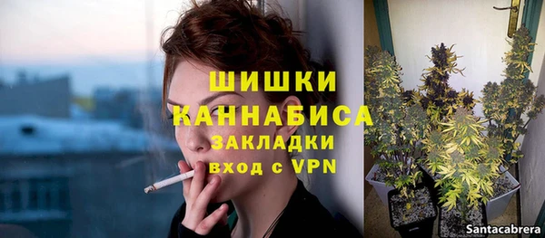 спайс Алзамай
