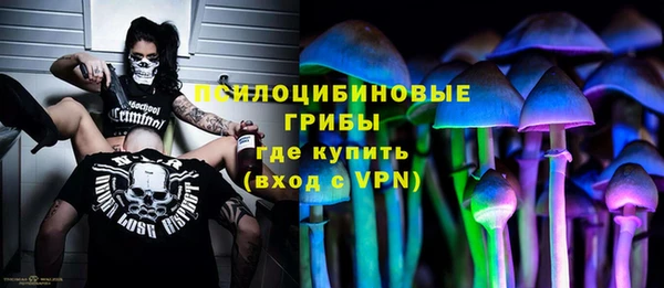 стаф Абдулино