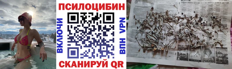 Галлюциногенные грибы мухоморы  Таштагол 
